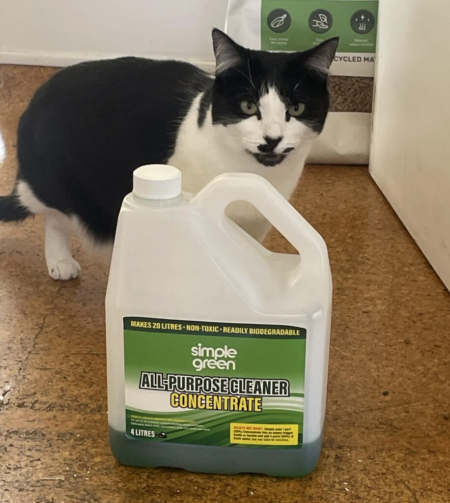 Daisy and Simple Green Cleaning product